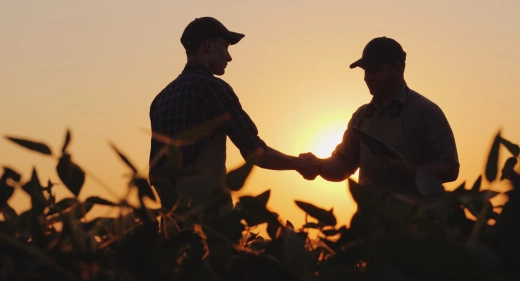 Agricultura