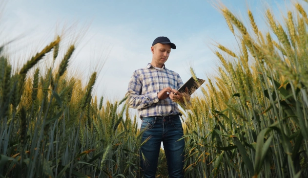 Homem analisando campo
