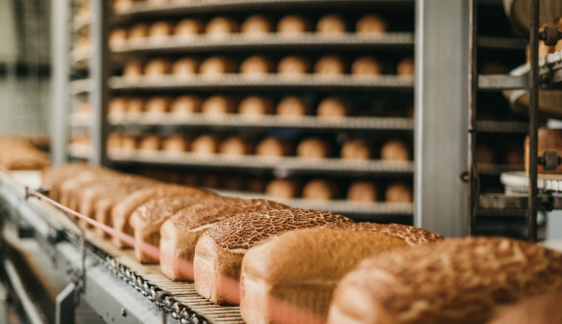 Pães em esteira de produção