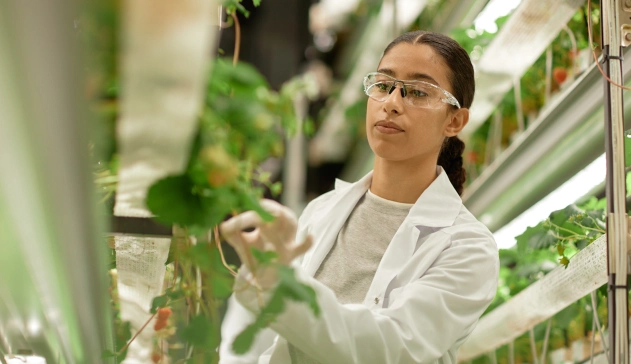 Mulher verificando plantas em laboratório